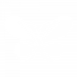 Nadiboo Logo Symbol White Large-min Nadiboo-Logo-Symbol-White-Large-min
